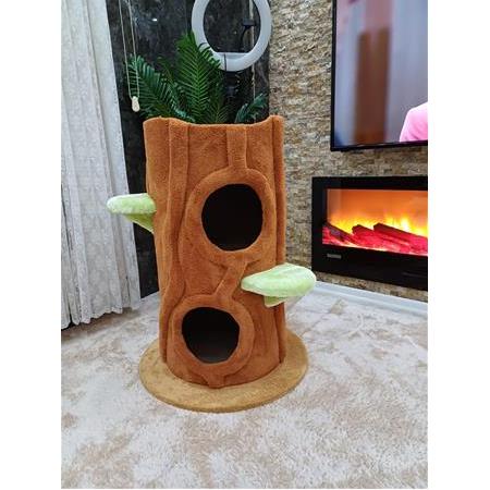 Ağaç Kedi Yuvası İki Gözlü