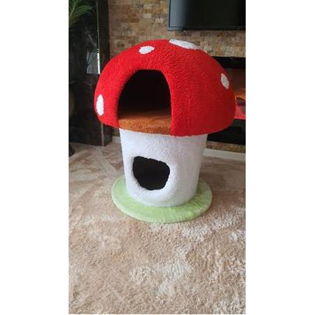 Mantar Kedi Yuvası